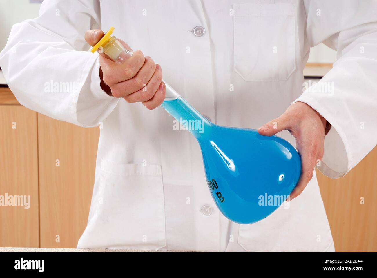 Preparing copper sulphate solution. Student preparing a standard solution of copper sulphate (CuSO4). Here, he has poured the prepared solution into a Stock Photo