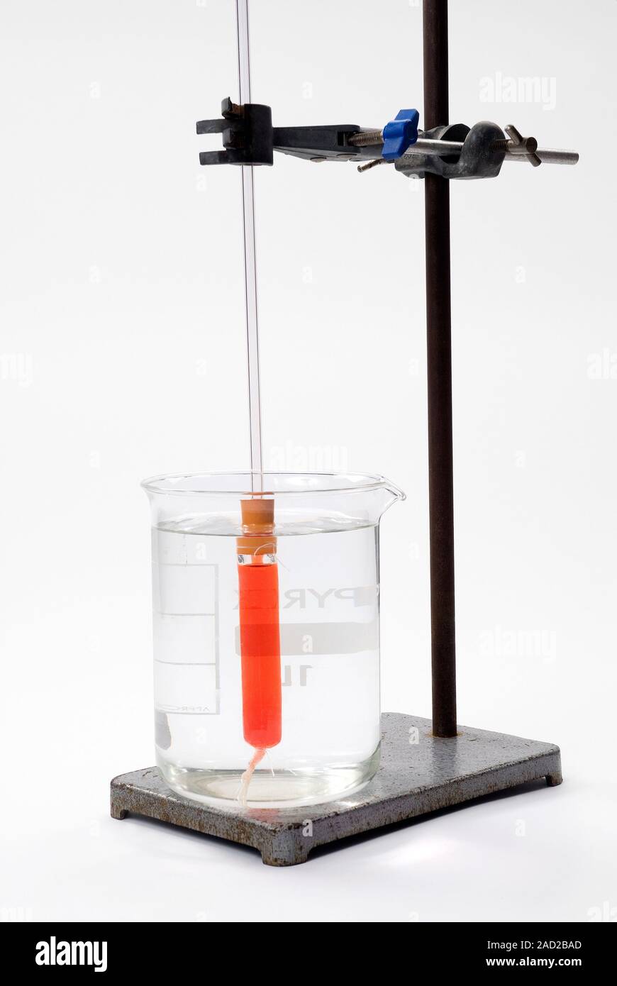 Osmosis demonstration. Apparatus used to demonstrate the movement of molecules through osmosis