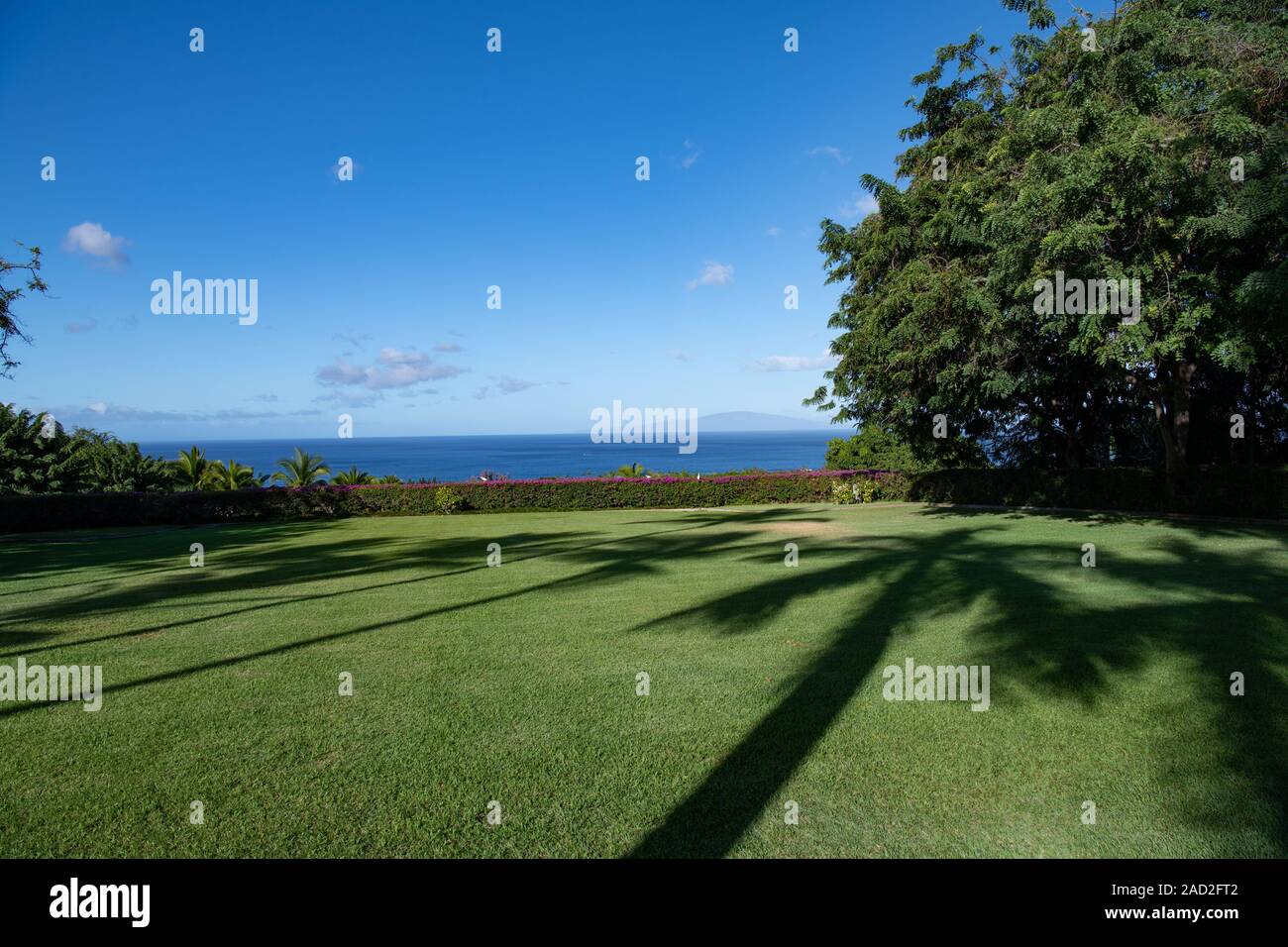 looking out to sea with blue skies and shadows of palm trees cast on a garden lawn Stock Photo