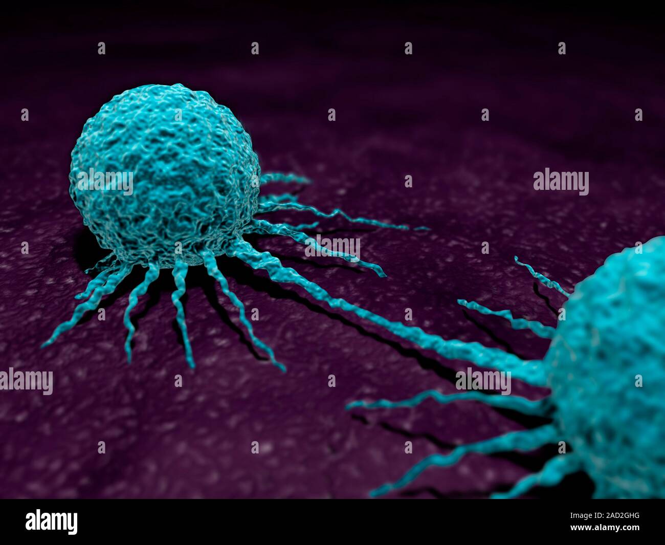 Cancer cells, computer illustration Stock Photo - Alamy