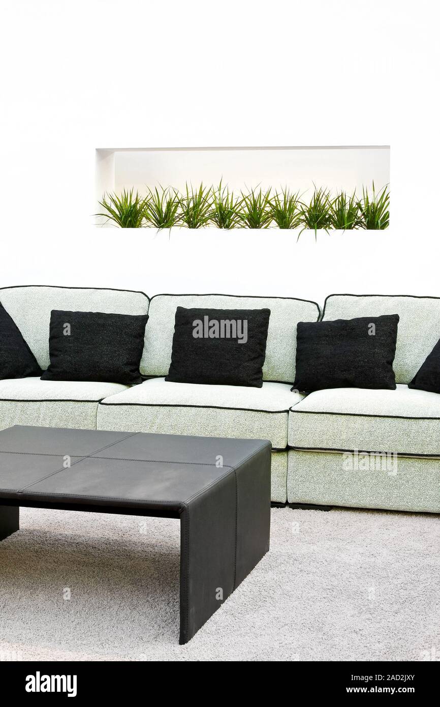 Sofa With Black Pillows In White Interior Stock Photo 335046291