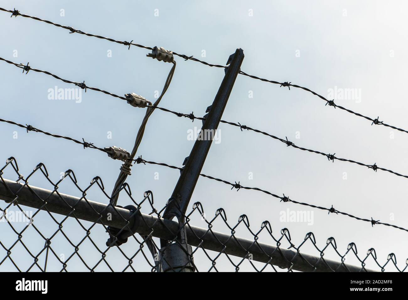 Barbed wire 2024 electric fence