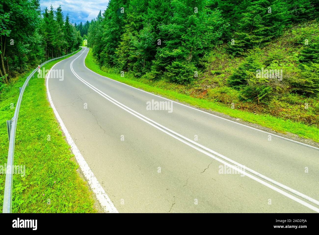 Winding Asphalt road in green forest Stock Photo - Alamy