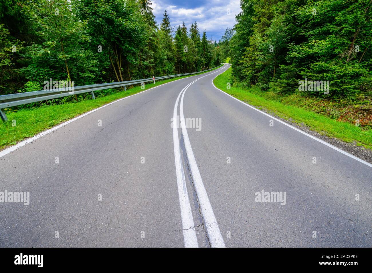 Winding Asphalt road in green forest Stock Photo - Alamy