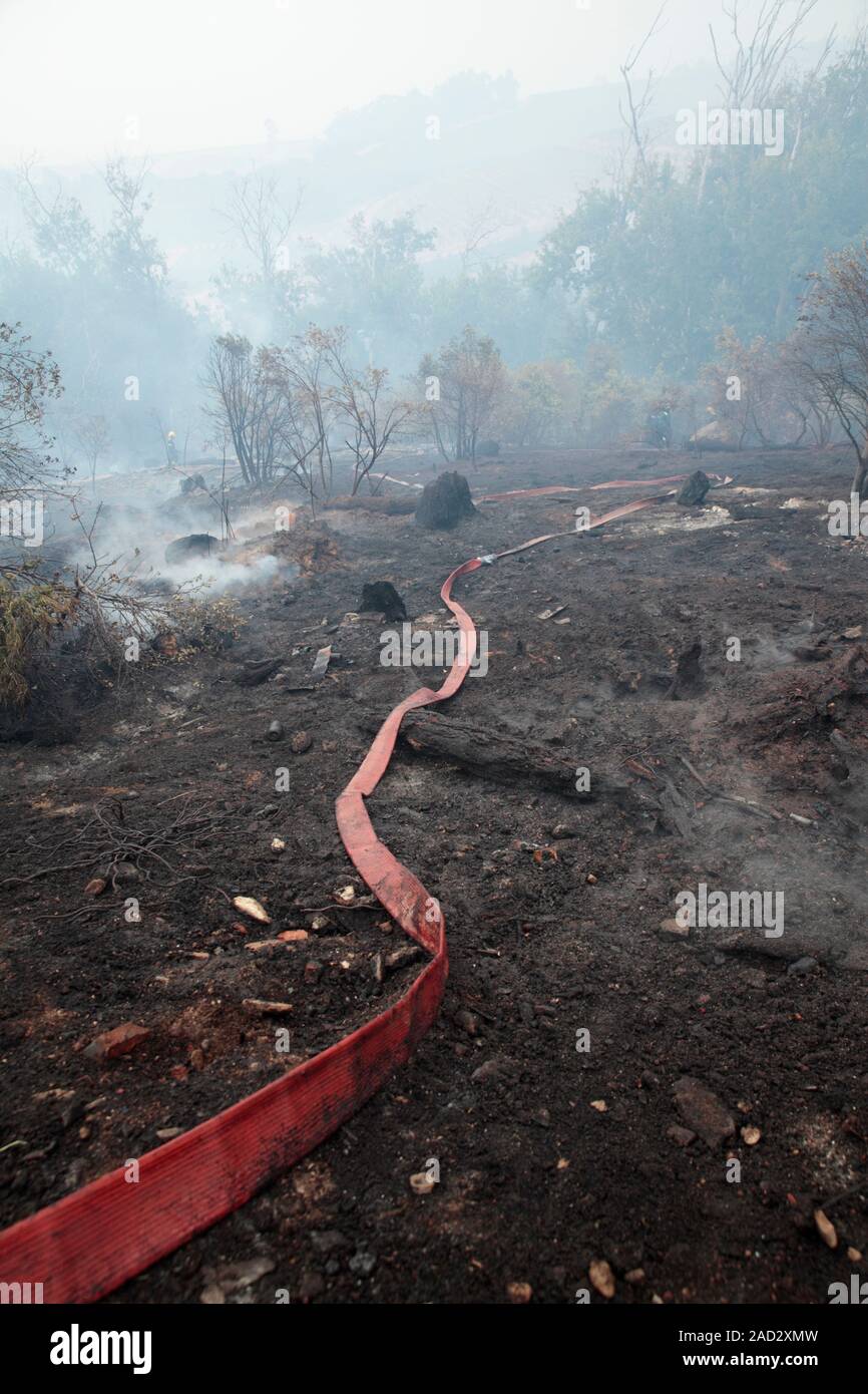 Firefighters using a hose to tackle smouldering scrubland after a wildfire. Photographed in Table Mountain National Park, Cape Town, South Africa, in Stock Photo