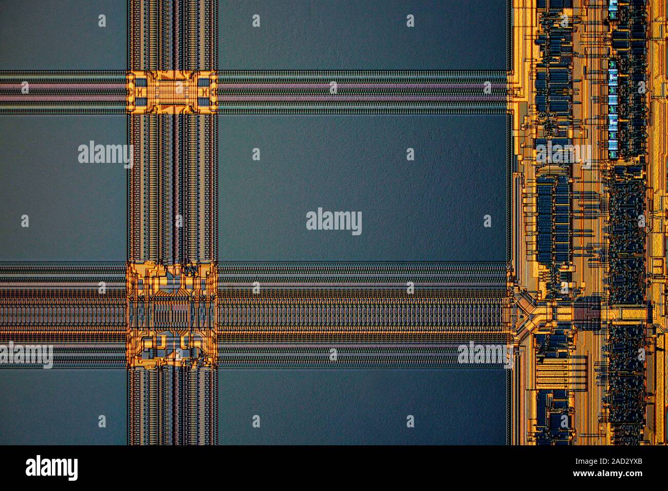 Computer RAM module. Light micrograph of a 1 megabyte fast page mode dynamic random-access memory (FPM DRAM) module. Random-access technology allows t Stock Photo