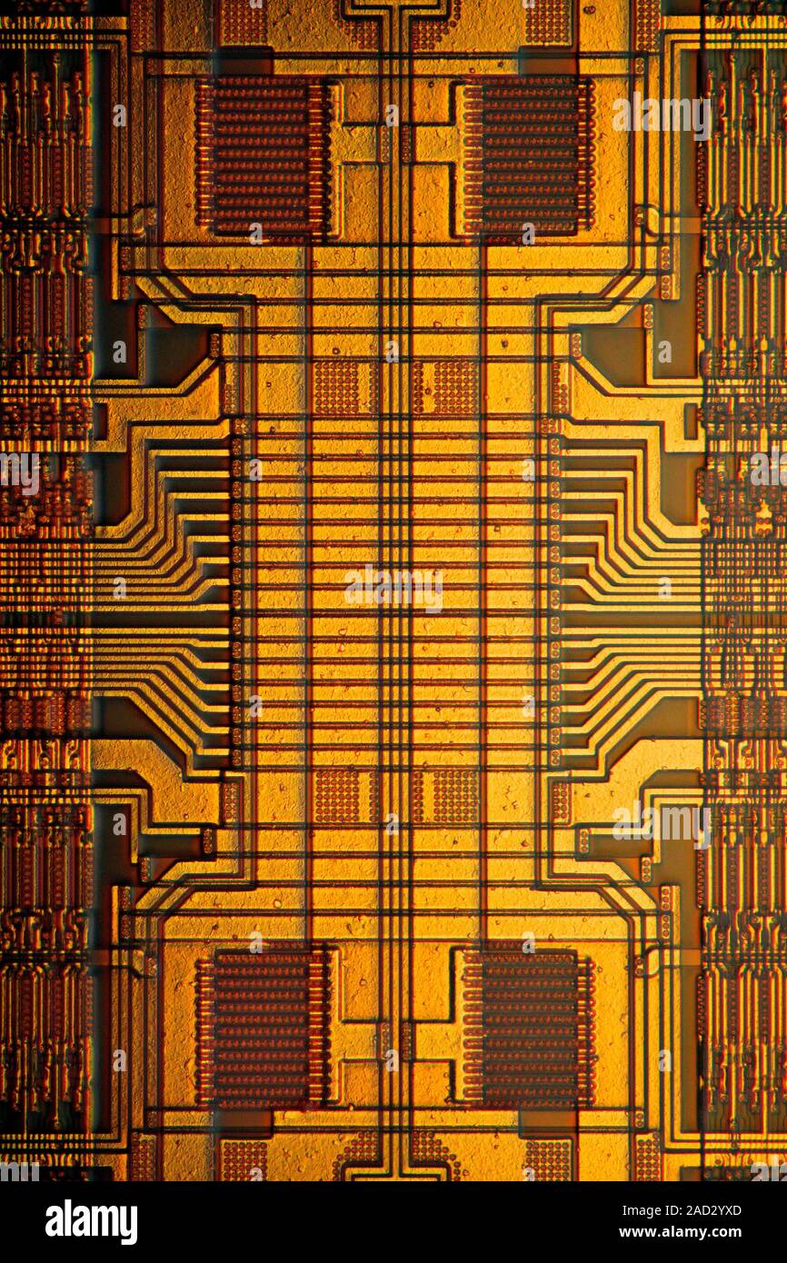 Computer RAM module. Light micrograph of a 1 megabyte fast page mode dynamic random-access memory (FPM DRAM) module. Random-access technology allows t Stock Photo