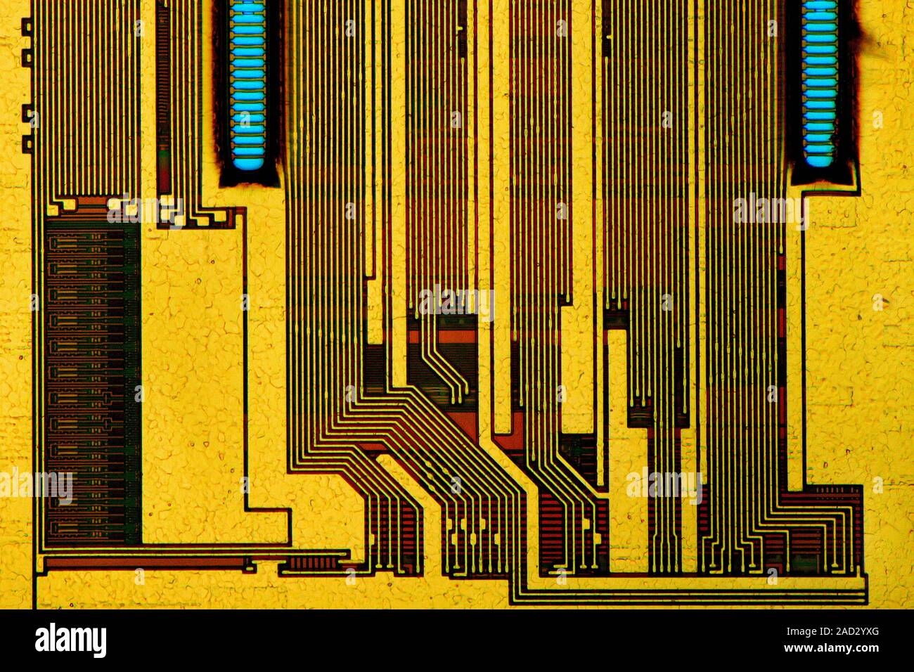 Computer RAM module. Light micrograph of a 128 megabyte PC-100 series synchronous dynamic random-access memory (SDRAM) module. Random-access technolog Stock Photo