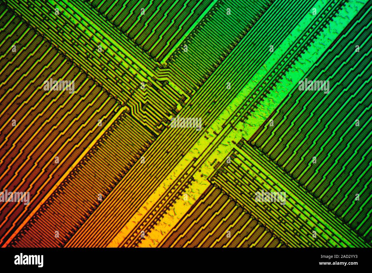 Computer RAM module. Light micrograph of a 64 megabyte extended data-out dynamic random-access memory (EDO DRAM) module. Random-access technology allo Stock Photo