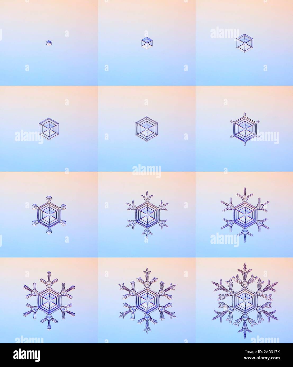 Snowflake formation, montage. The sequence starts at top left and moves