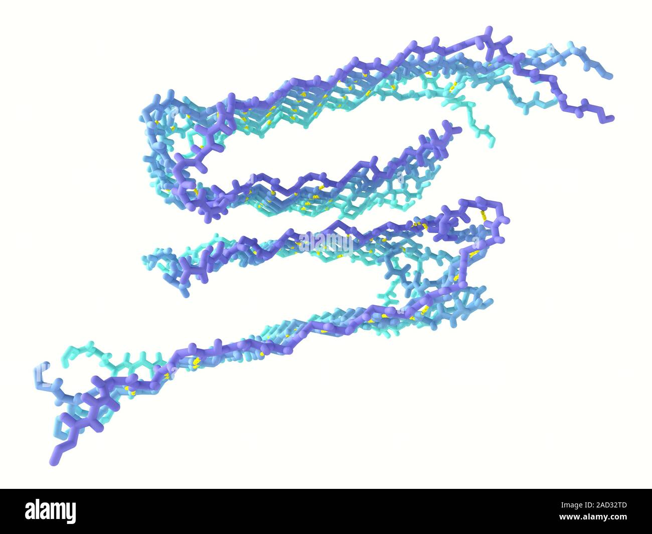 Molecular model of human brain-derived beta-amyloid fibrils isolated ...