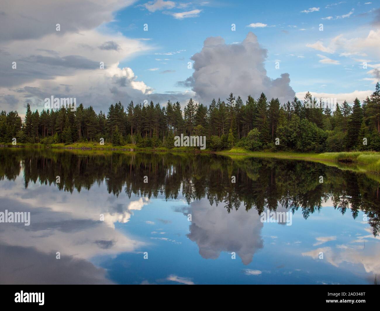 Lake (river) and forest in Värmland in Sweden Stock Photo - Alamy