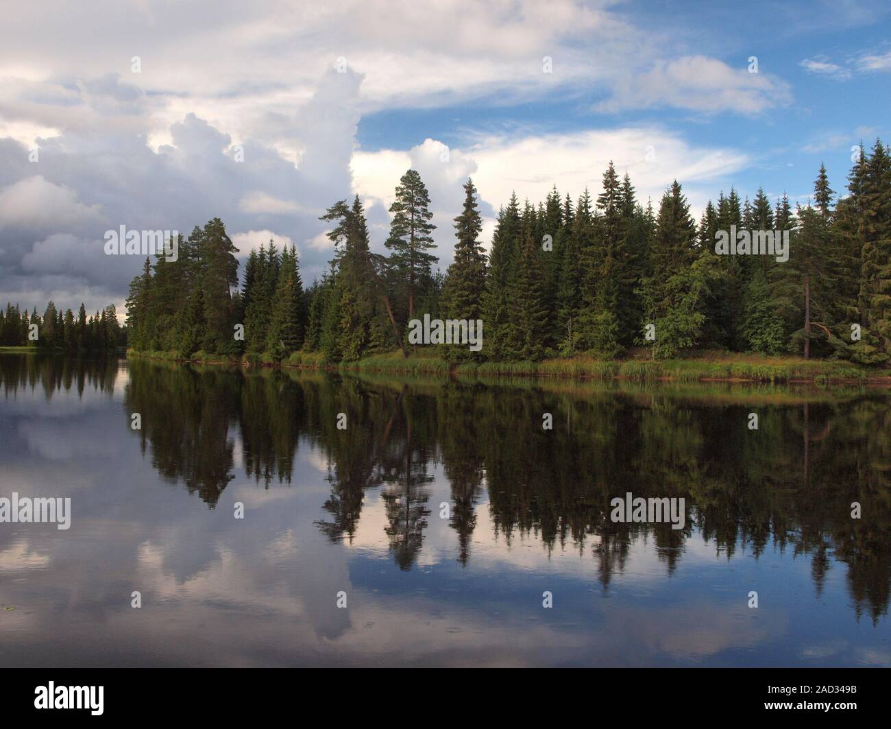 Lake (river) and forest in Värmland in Sweden Stock Photo - Alamy