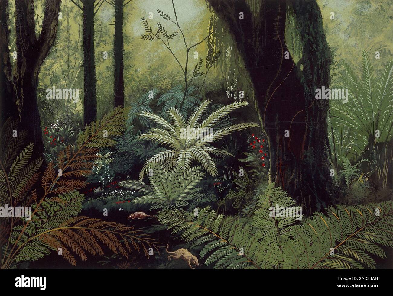 Первобытный лес иллюстрации