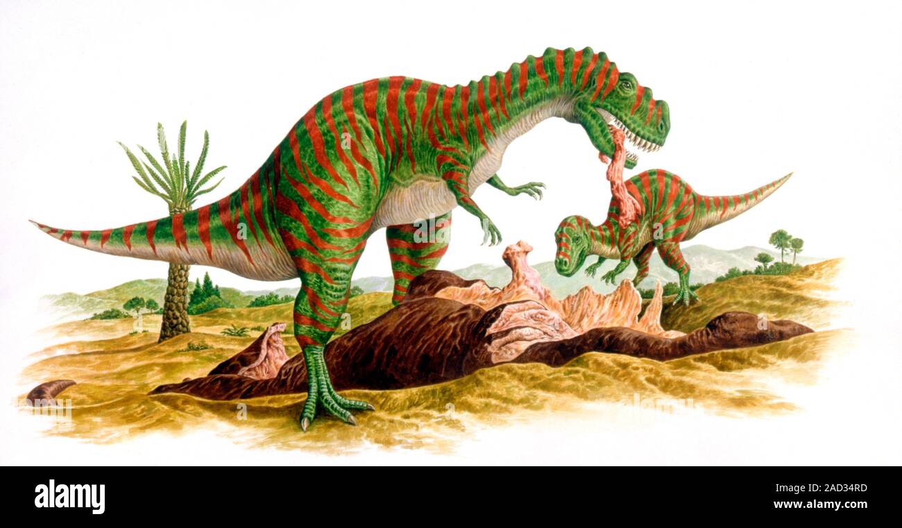 Metriacanthosaurus dinosaurs. Computer illustration of ...