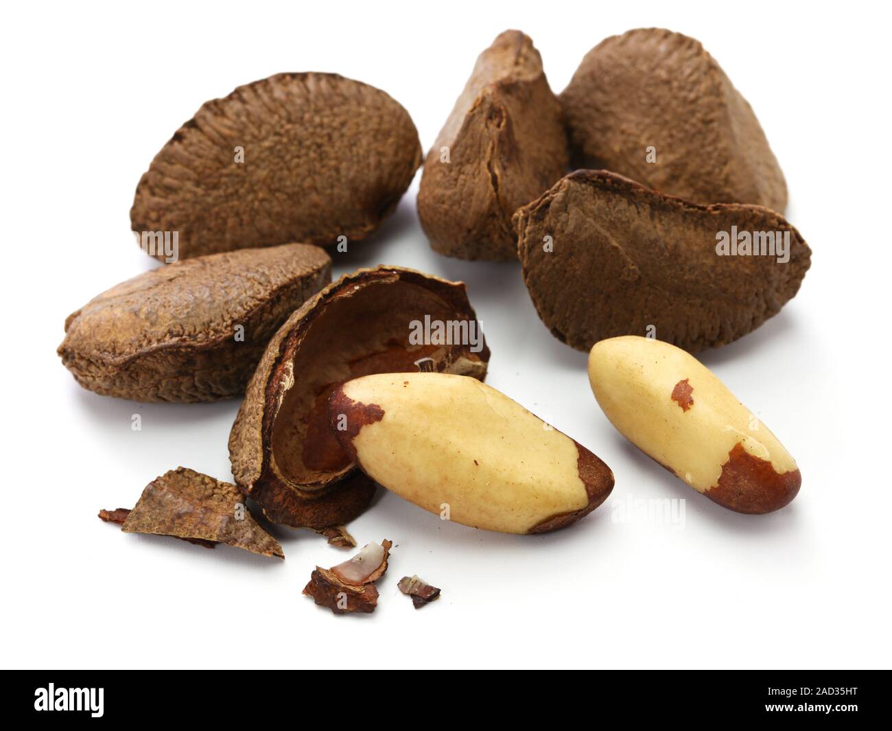 brazil nuts, in shell ,and shell removal Stock Photo