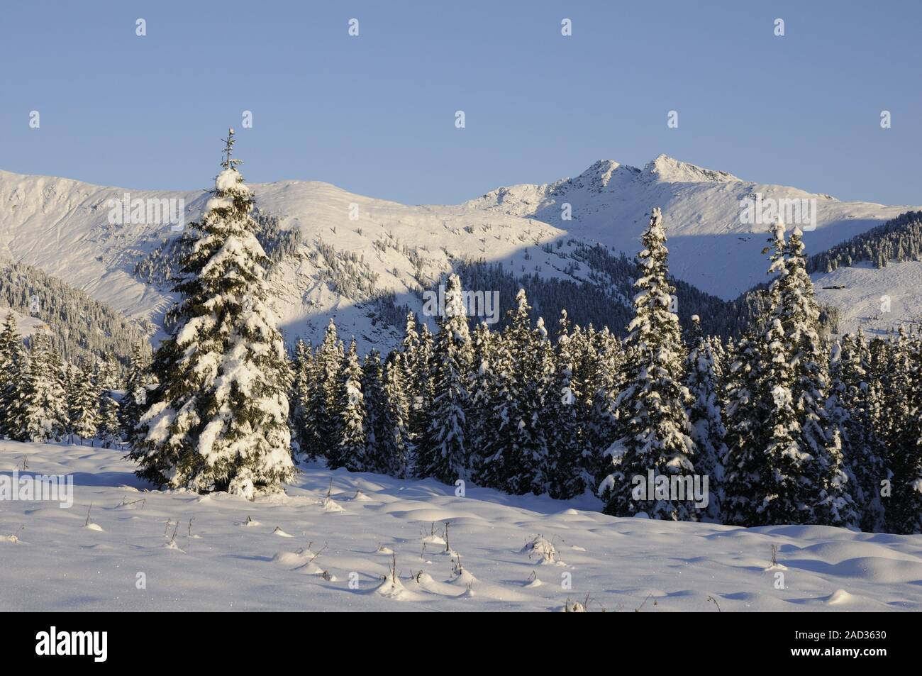 Winter In Hochkrimml Stock Photo - Alamy