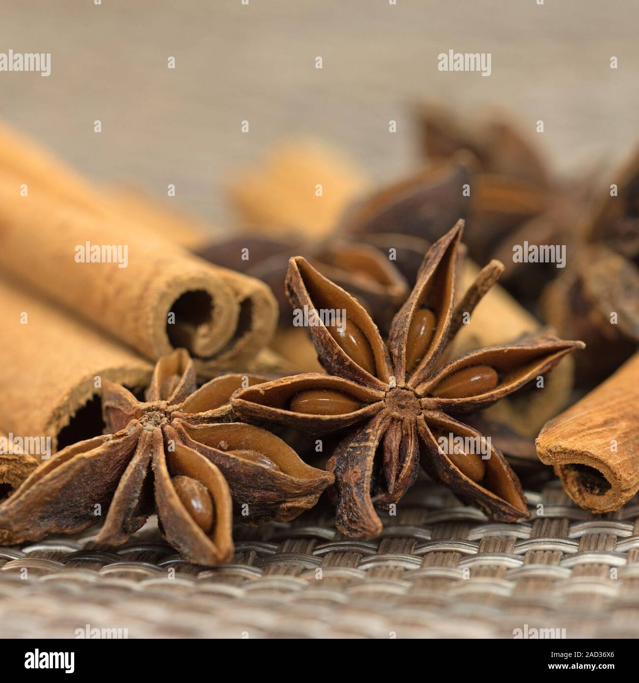 Anise stars and cinnamon sticks Stock Photo