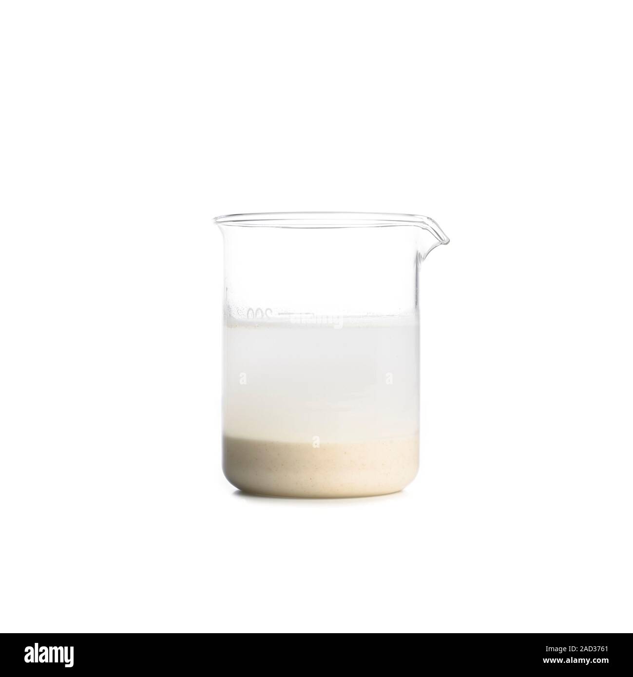 Flour in a beaker of water. The flour was mixed with water and the