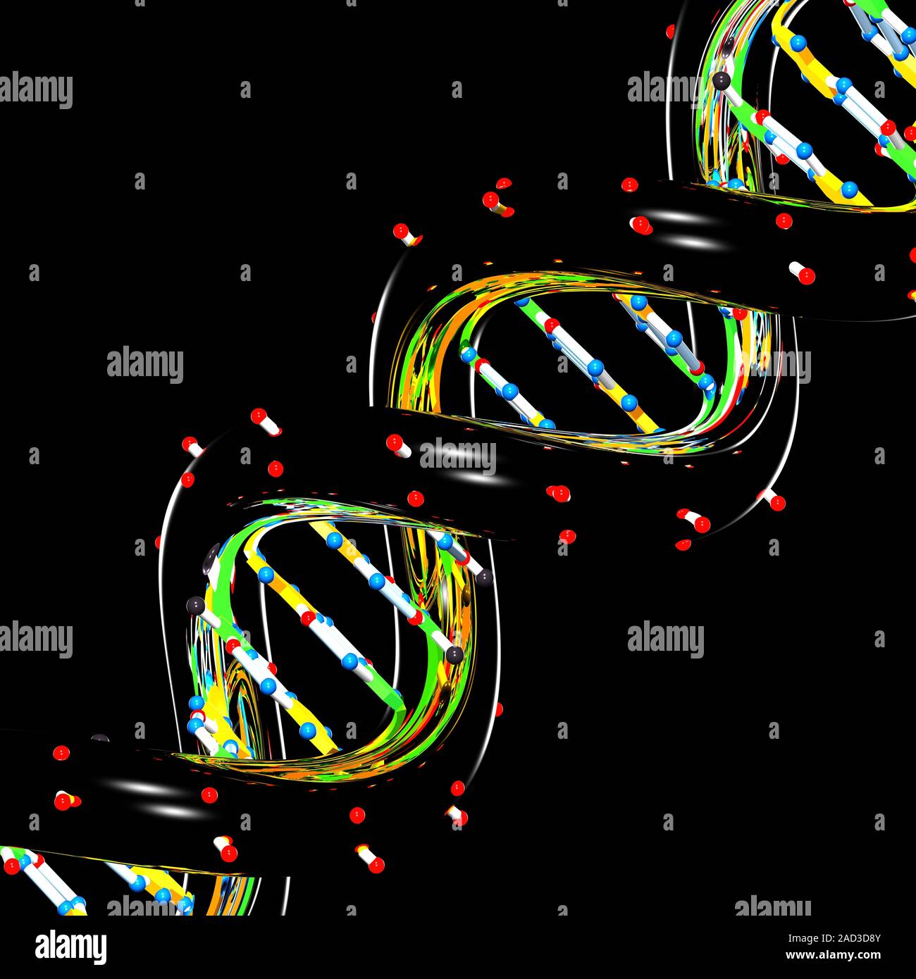 This image may not be used in educational posters DNA molecule