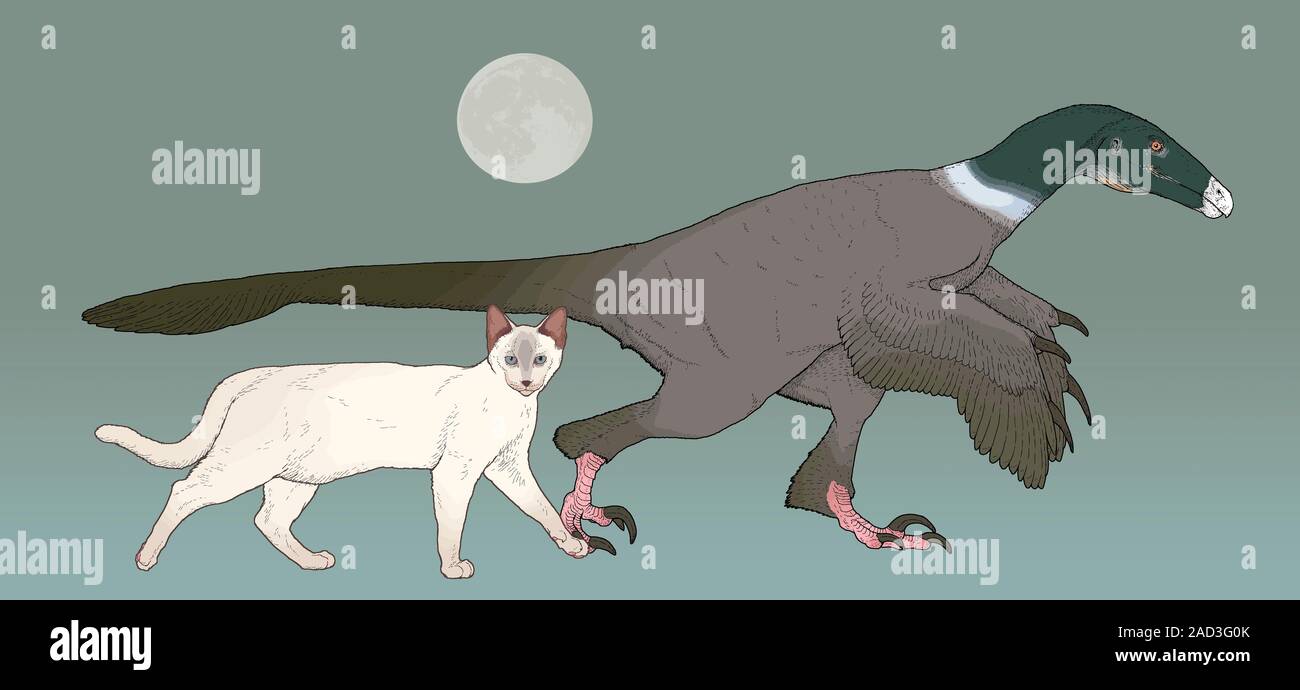 Balaur bondoc dinosaur. Computer illustration of a Balaur bondoc ...