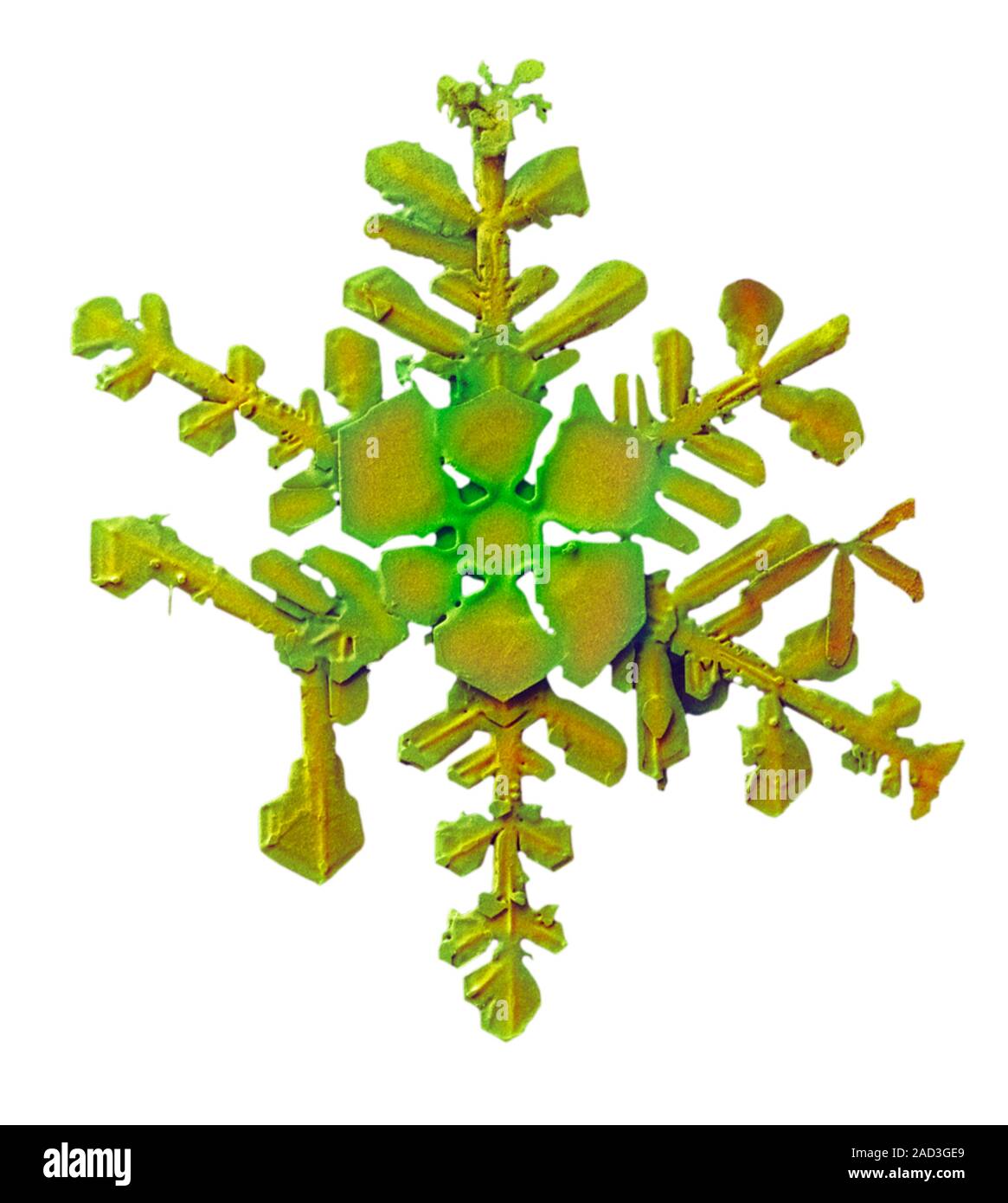 Sem Snowflake Snowflake. Coloured low-temperature scanning electron micrograph (LT ...