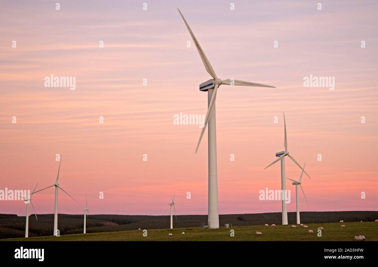 Dunlaw wind farm, Soutra Hill, Scotland, UK. 3rd December 2019. Cool afternoon but mild compared to the past weekend just before sunset the sky showing pastel colours behind and around the huge turbines. Stock Photo