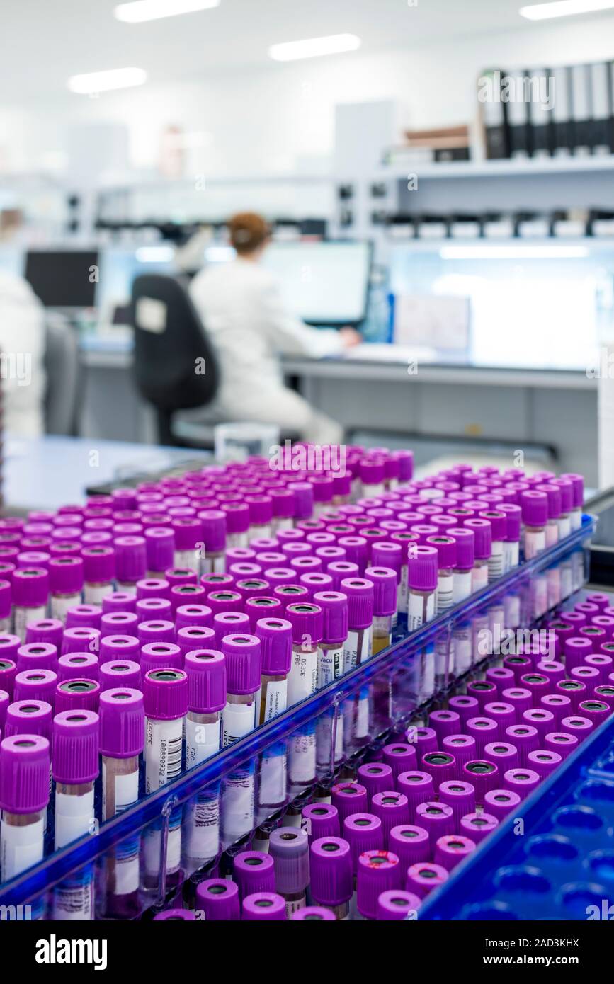 Haematology laboratory. Blood samples ready for testing in the