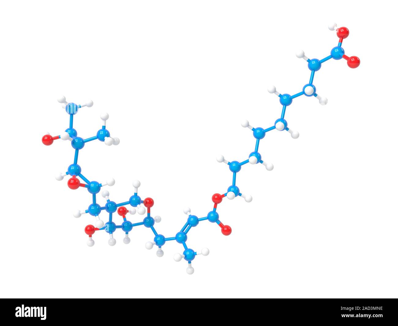 Mupirocin molecule. Computer illustration showing the molecular