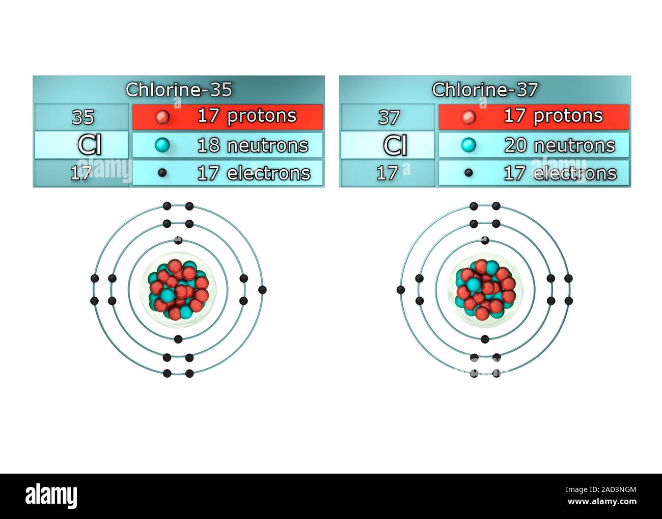 Isotopes of chlorine. Illustration showing the two principal stable
