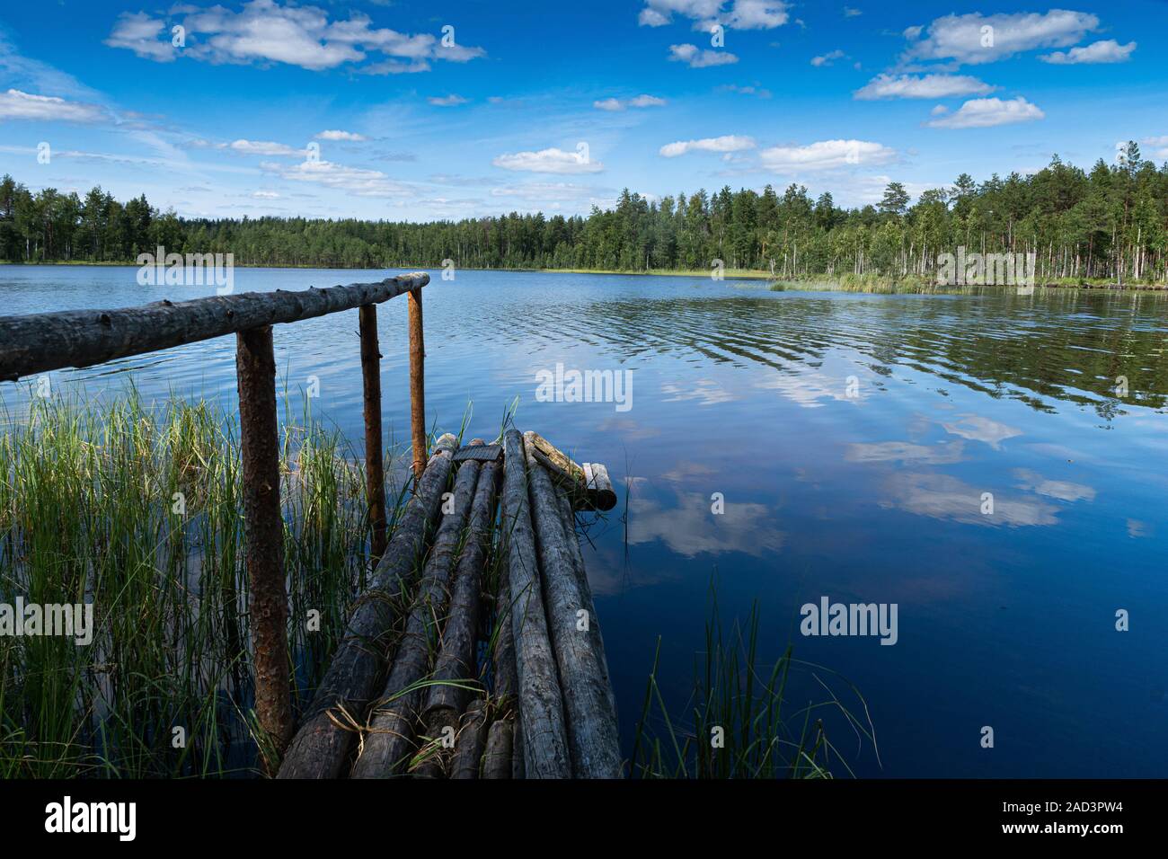 View of the clear forest lake. Lake Mojno. Wooden bridges. Pskov region. Velikoluksky district. Stock Photo