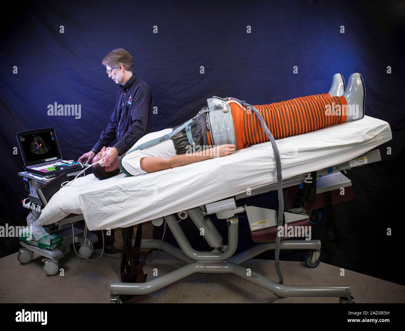 Fluid shift research. A researcher using an ultrasound machine to