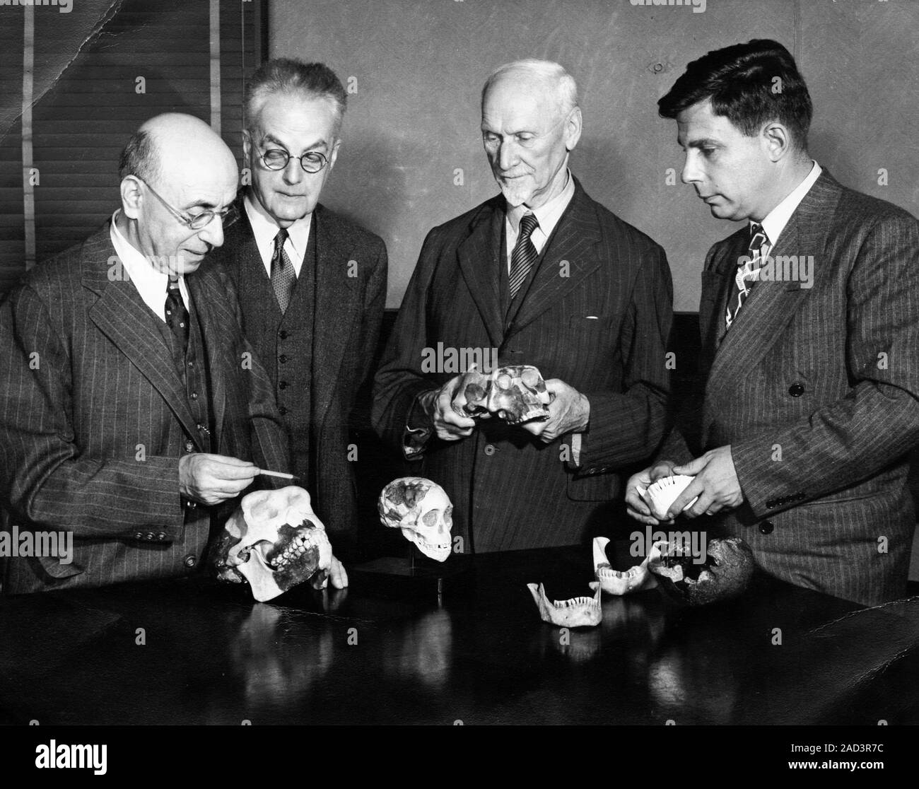 Paleontologists examining skulls. From left to right are; German