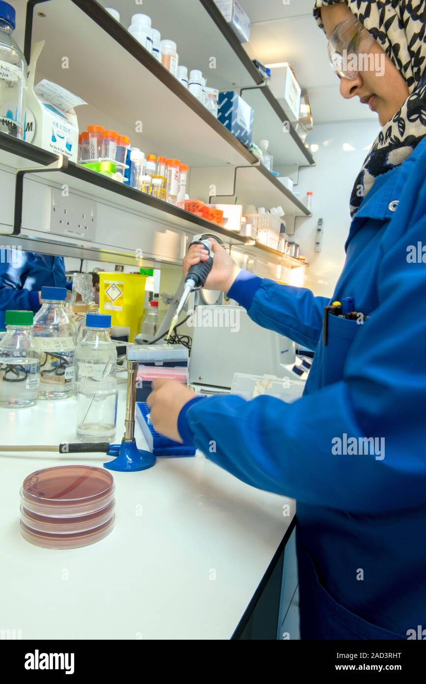 Synthetic biology lab. Young scientist using a pipette in a synthetic