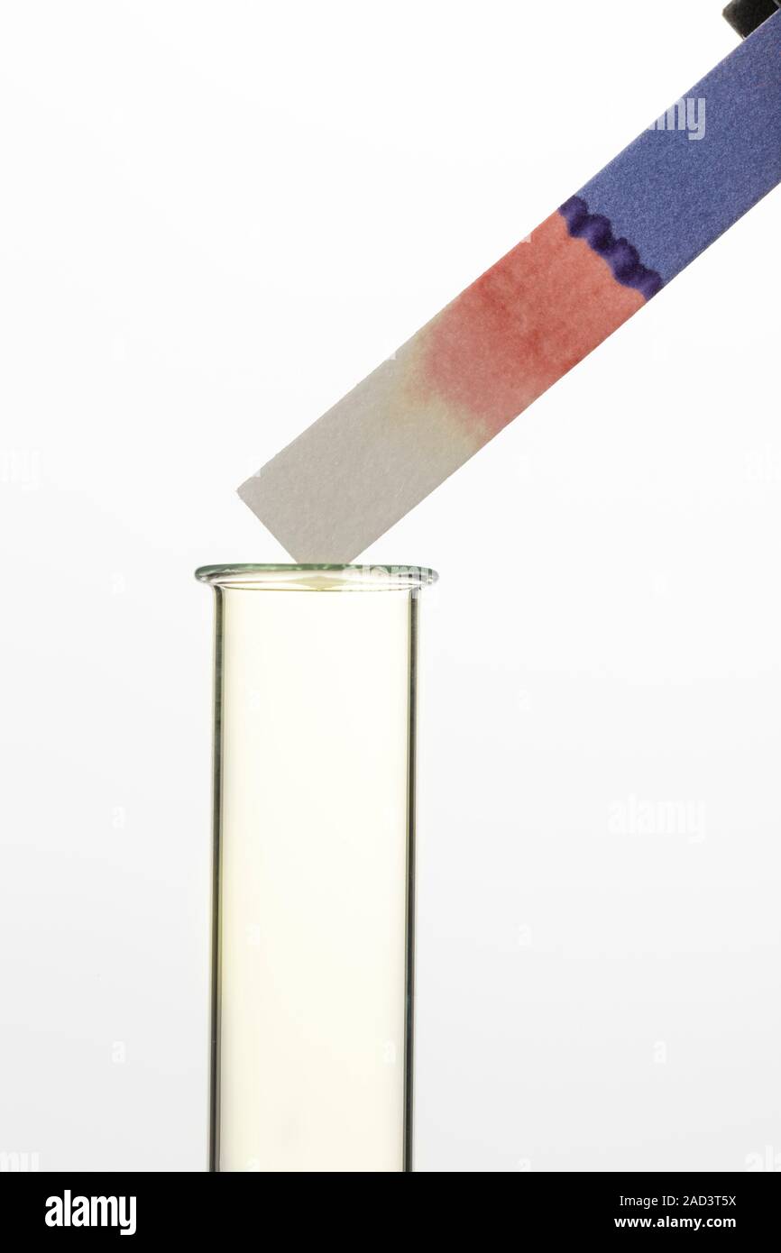 Positive test for chlorine. A moist blue litmus paper is held over a