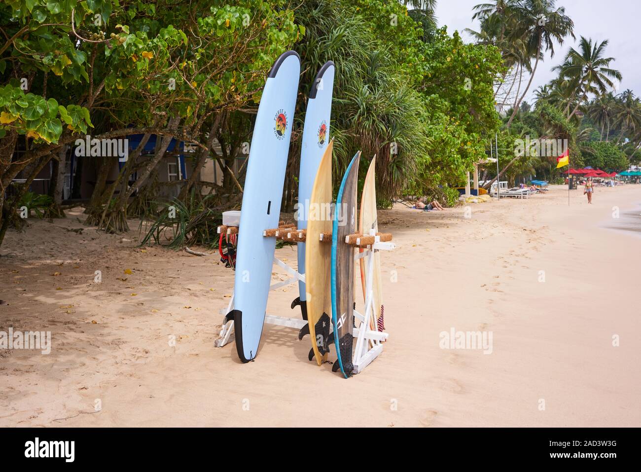 Various surfboards for hire on a beach in Sri Lanka Stock Photo Alamy