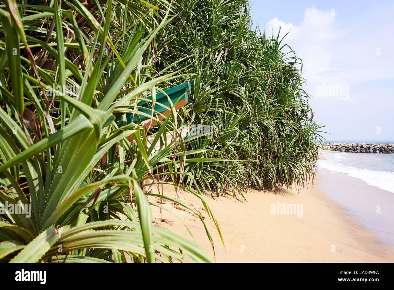 hidden wedge nike sneakers