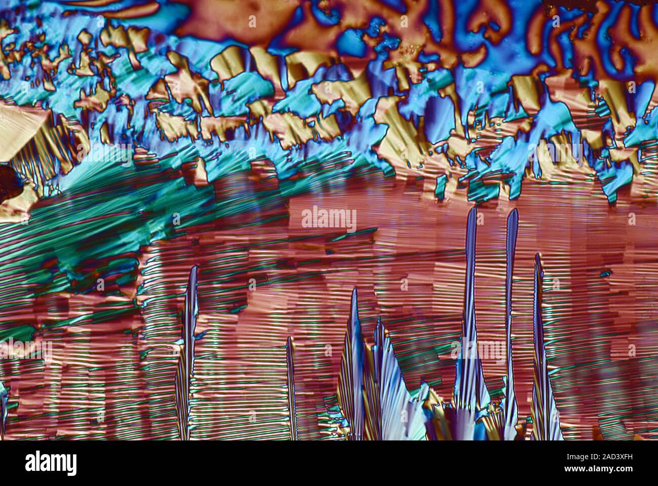 Folate Crystal Under Microscope Polarised light micrograph of crystals of folic acid, also known as ...