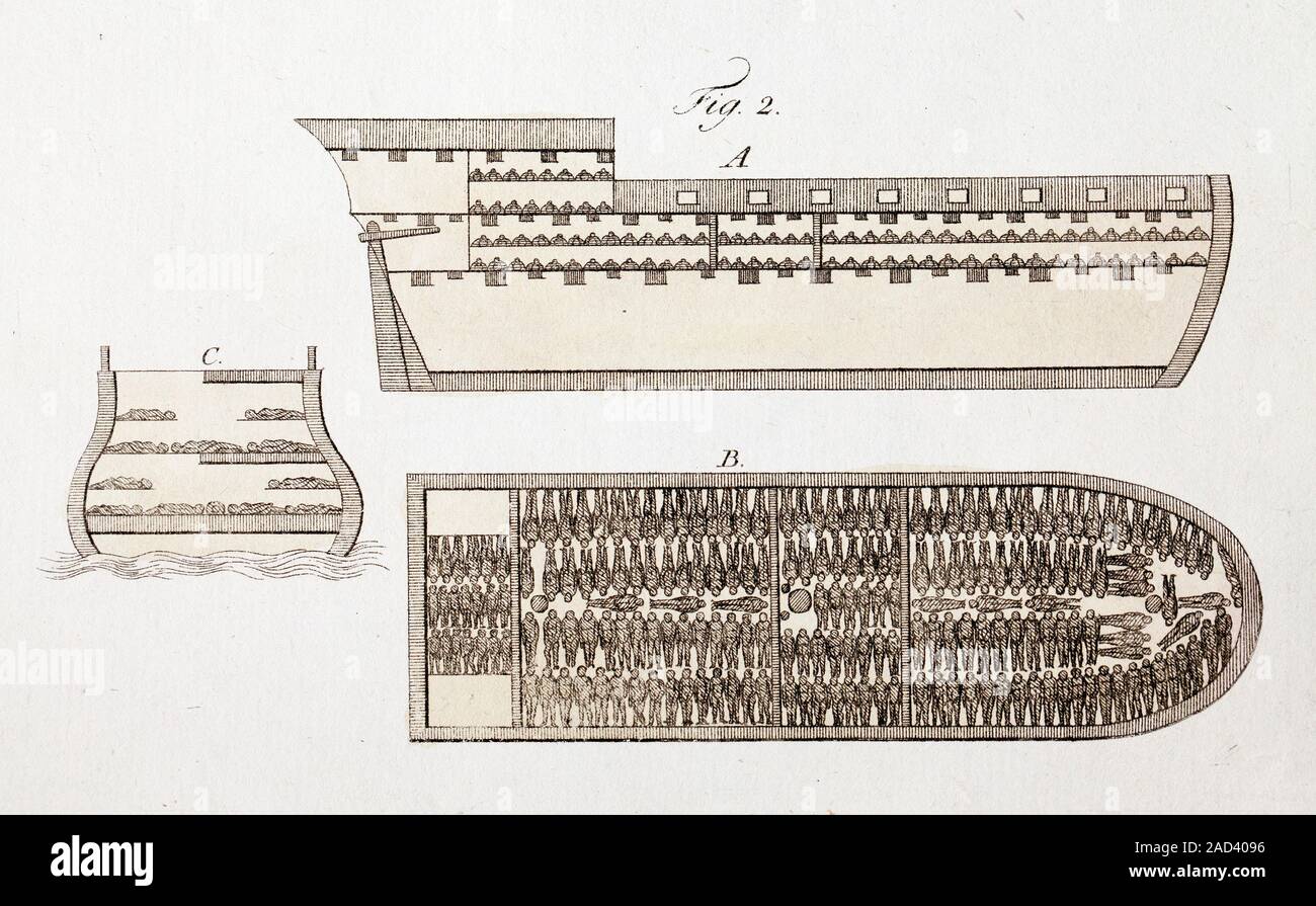 Slave ship diagrams, 19th century. Owners of the ships divided their