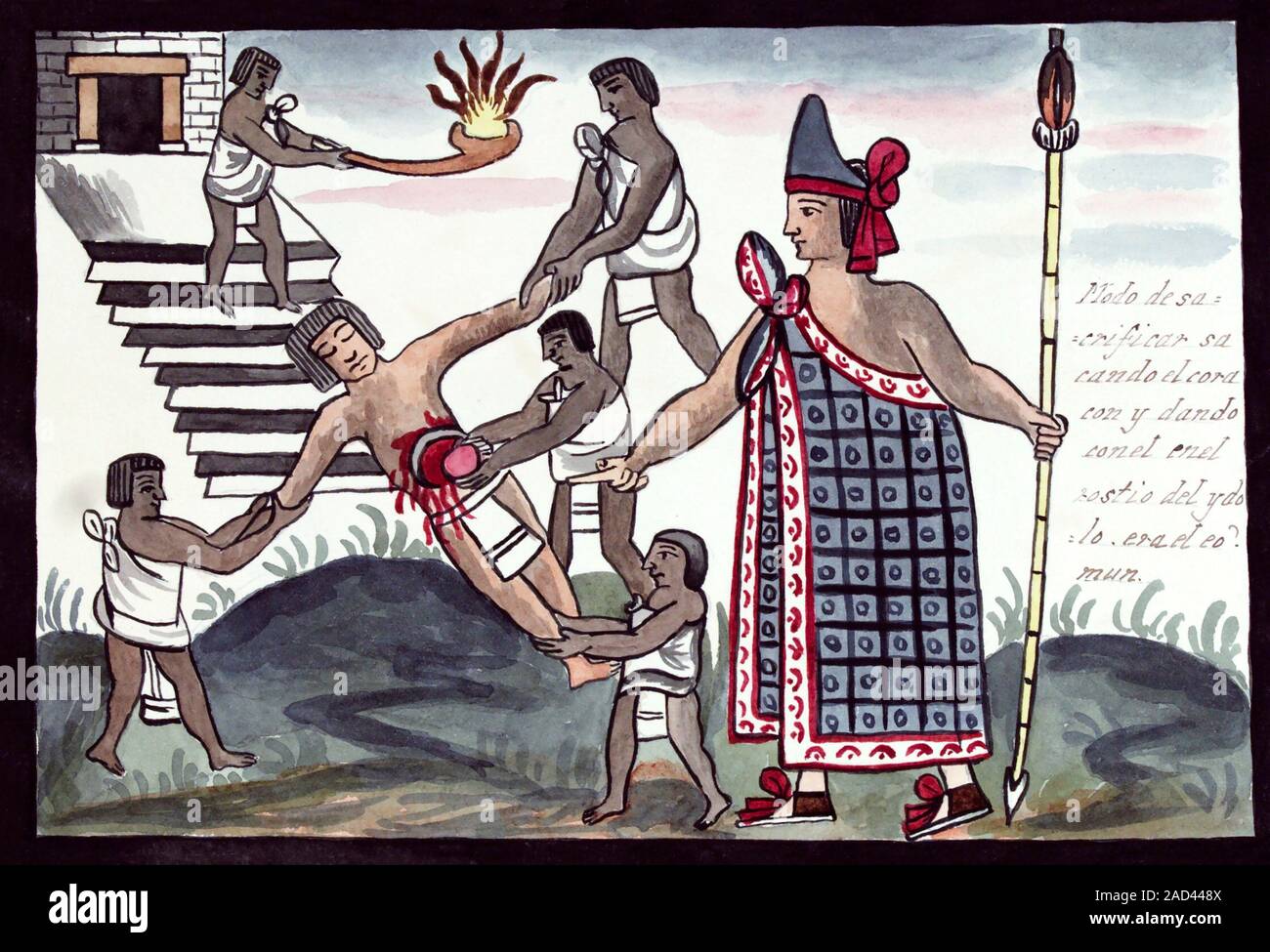 Aztec human sacrifice, 16th century. Illustration of a priest holding a spear while presiding over the sacrifice of a flower war captive whose heart i Stock Photo