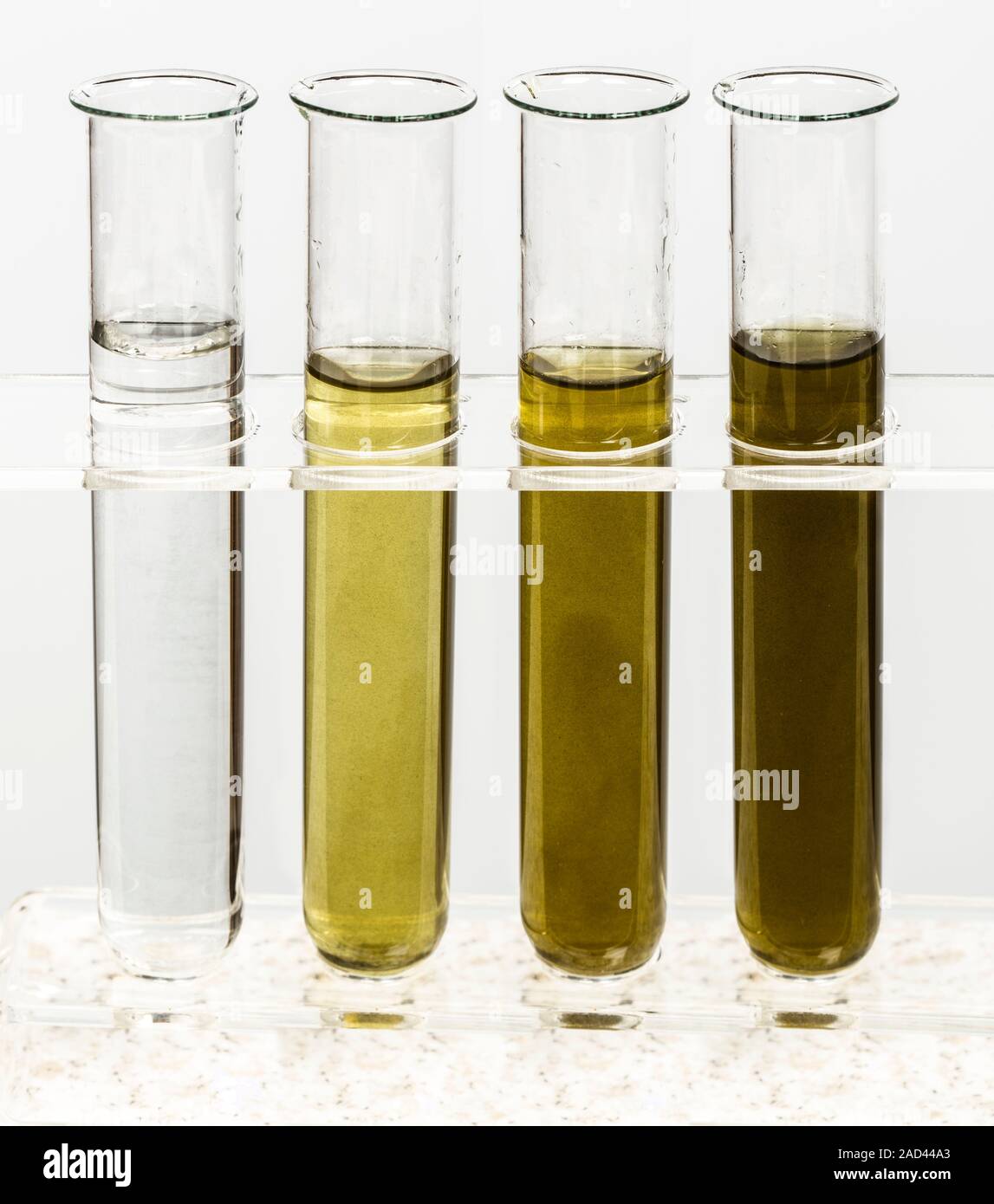 River water samples showing degrees of turbidity. Turbidity is the