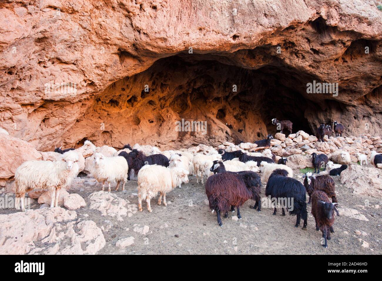 A Cave used as a nightime shelter for goats and sheep in the Anti Atlas ...