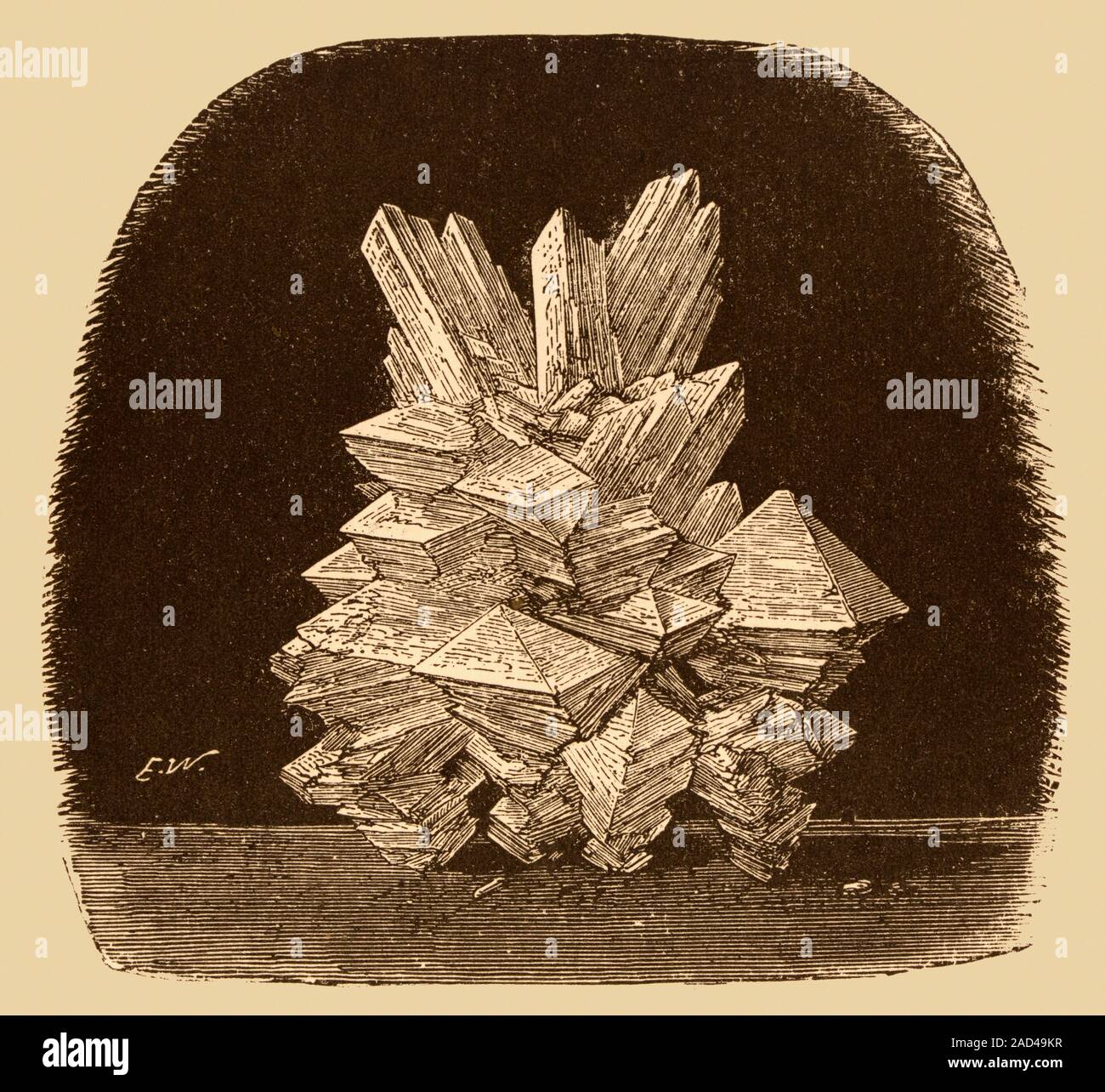 19th century illustration of Alum crystals. Alum is both a specific