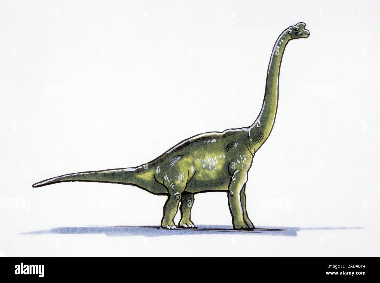 Illustration of Damalasaurus Stock Photo - Alamy