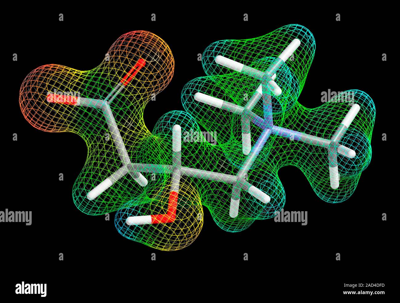 l-carnitine structure L-carnitine, Levocarnitine, Carnitine, C7H15NO3 molecule. Structural  chemical formula. Vector illustration Stock Vector Image & Art main image 0