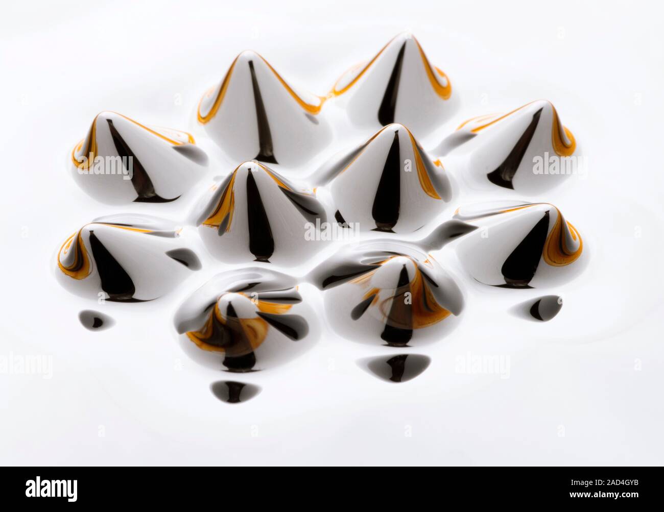 Ferrofluid in the field produced by a The peaks formed