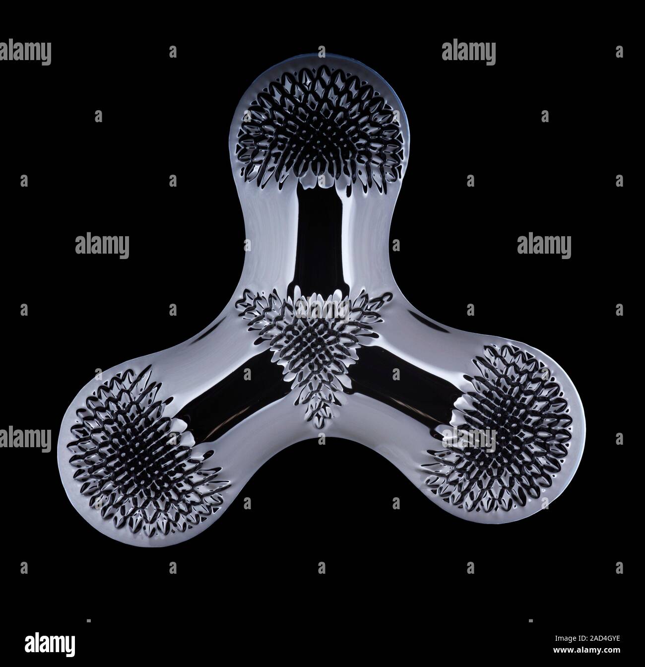 Ferrofluid in the field produced by a The peaks formed