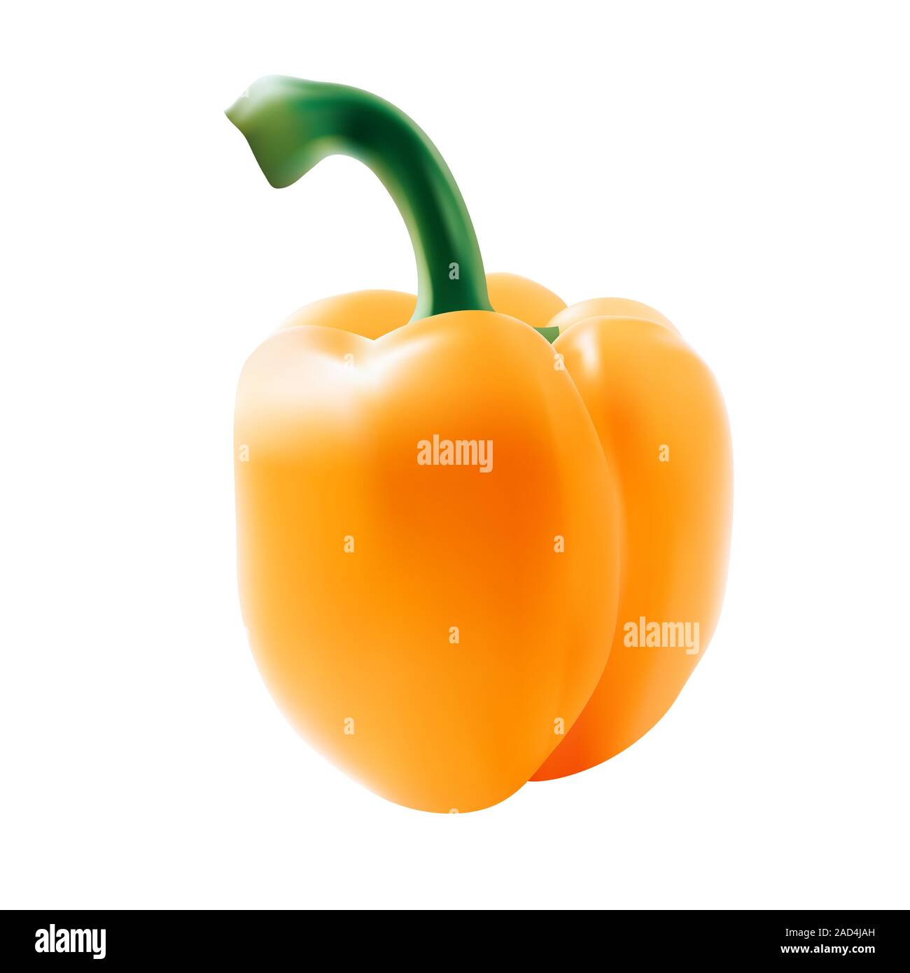 yellow bell pepper on white isolated background. Vector illustration ...