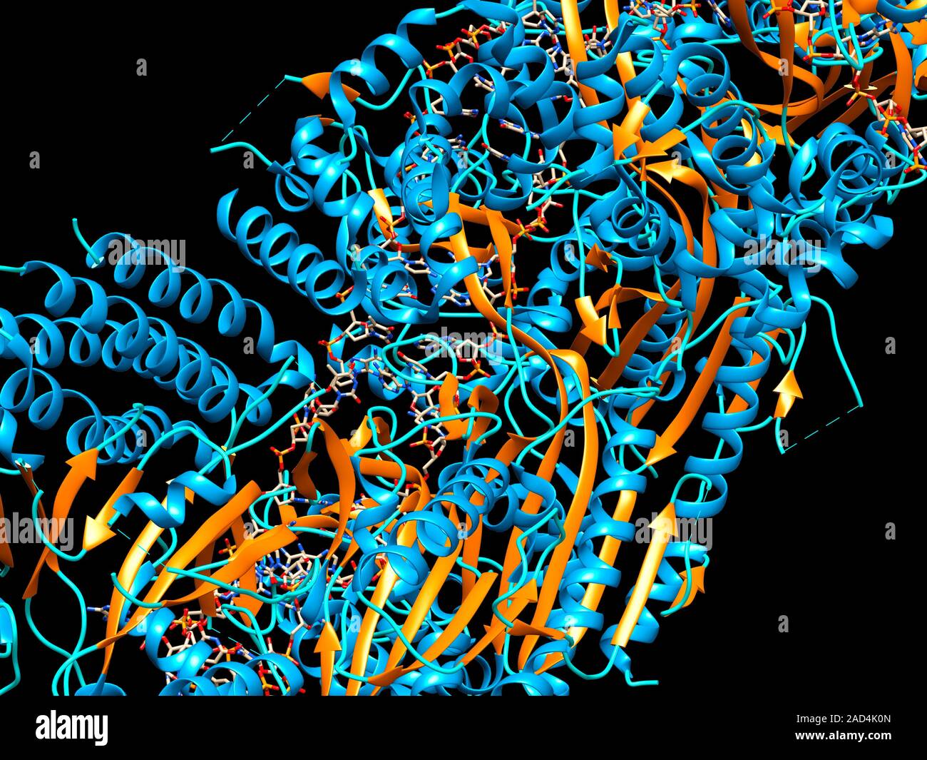 CRISPR-CAS9 gene editing complex. Computer illustration showing the ...