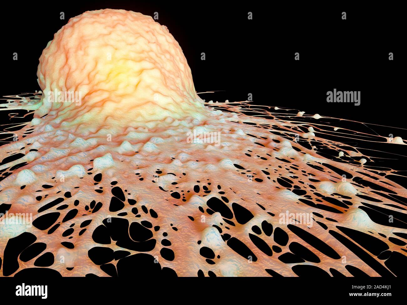 Cancer cell. Computer illustration of cancer cell Stock Photo - Alamy
